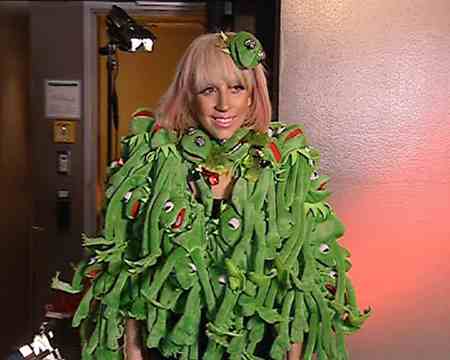 Lady Gaga Kermit Coat. Lady Gaga Kermit Coat. july